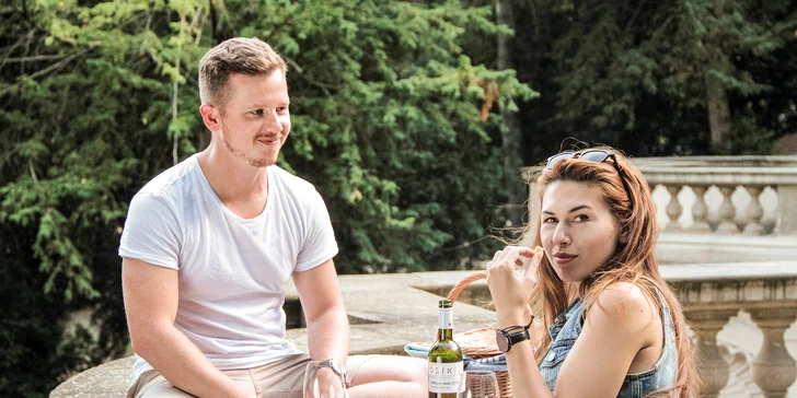 Piknikový koš plný dobrot pro 2 až 4 osoby: burrito, sladké a slané koláče, limonády i zapůjčení deky