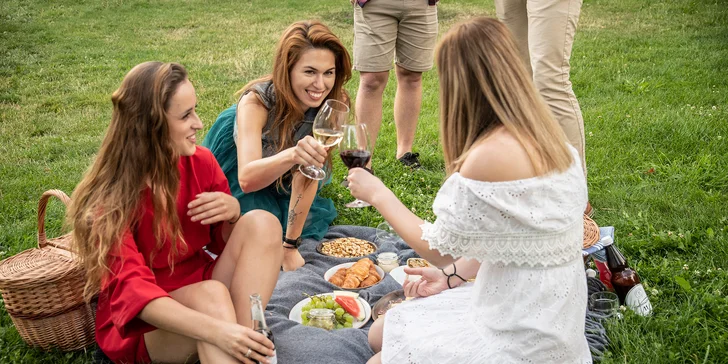 Piknikový koš plný dobrot pro 2 až 4 osoby: burrito, sladké a slané koláče, limonády i zapůjčení deky