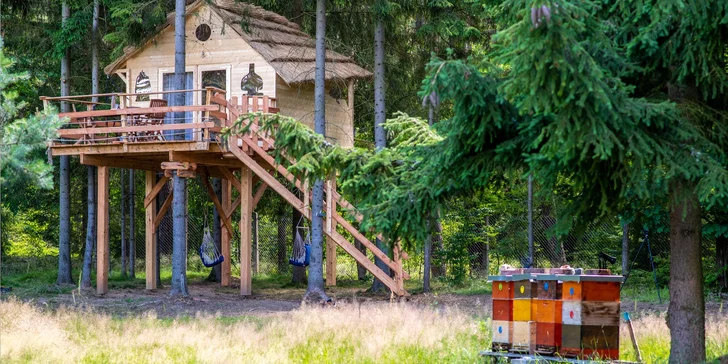 Bydlení v treehousu u lesa nebo rybníku na severu Čech a piknikový koš se snídaní