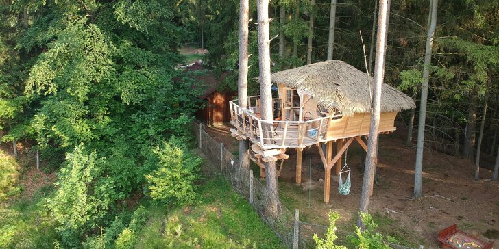 Bydlení v treehousu u lesa nebo rybníku na severu Čech a piknikový koš se snídaní
