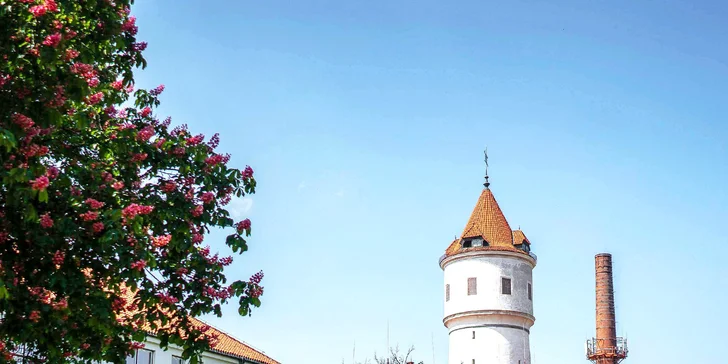 Procházka bohnickou psychiatrickou léčebnou a ke hřbitovu bláznů s průvodcem