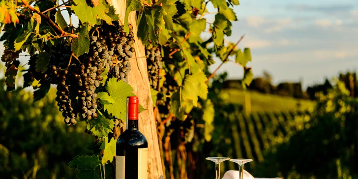 Pobyt v Toskánsku: polopenze, výlet do vinařství s ochutnávkou a slevy do lázní Casciana Terme