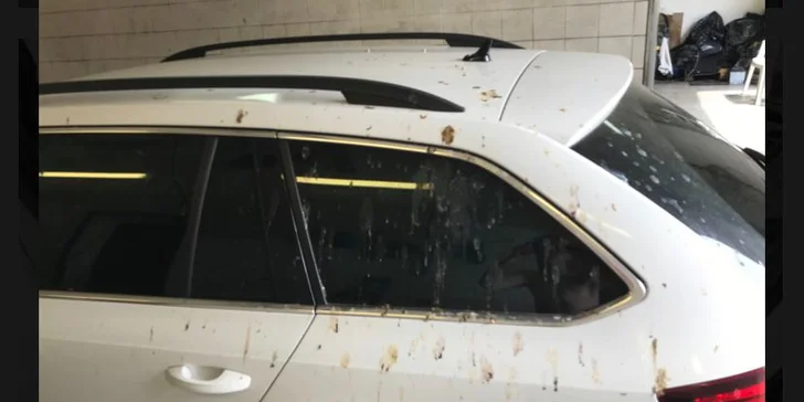 Ruční mytí vozu: důkladná očista exteriéru nebo interiéru, platí i pro SUV