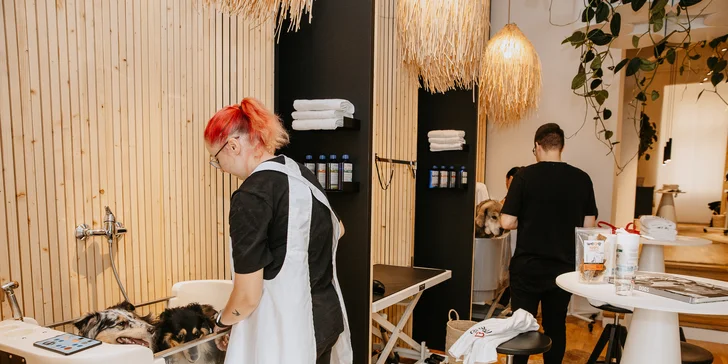 Self-wash lázně, známka s gravírováním a pamlsky pro malá, střední i velká plemena psů