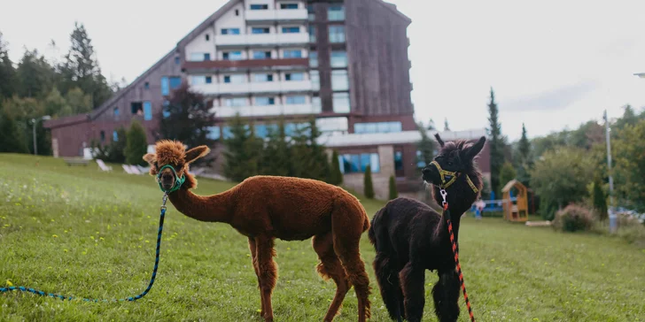 Moderní hotel v Železné Rudě na Šumavě: krásné interiéry, wellness a polopenze