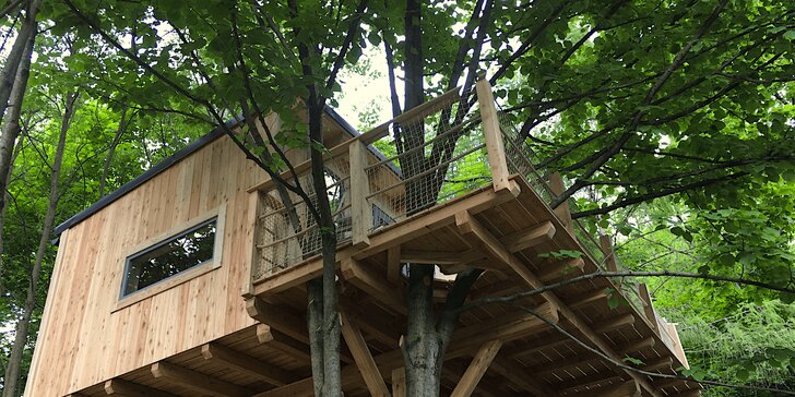 Glamping na výši uprostřed přírody: nový treehouse v Orlických horách až pro 4 osoby