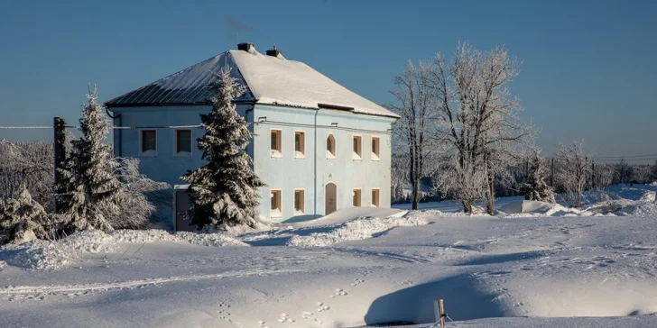 Trhané vepřové s farmářskými hranolky, coleslawem a tatarkou u Božího Daru