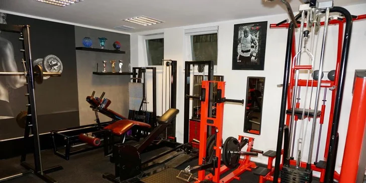 Dostaňte se do formy pod dohledem profi trenéra: 1–3 lekce či samostatný vstup do fitness