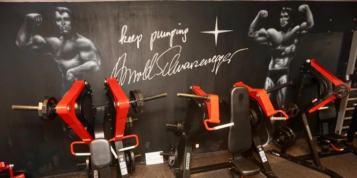 Dostaňte se do formy pod dohledem profi trenéra: 1–3 lekce či samostatný vstup do fitness