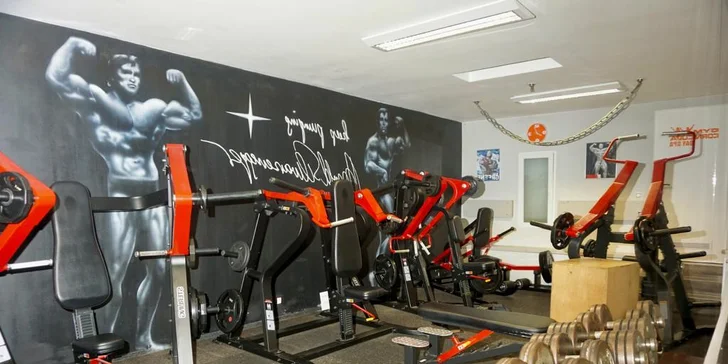 Dostaňte se do formy pod dohledem profi trenéra: 1–3 lekce či samostatný vstup do fitness