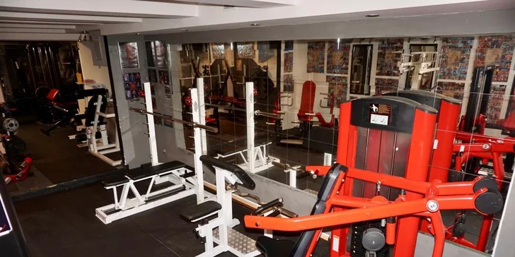Dostaňte se do formy pod dohledem profi trenéra: 1–3 lekce či samostatný vstup do fitness