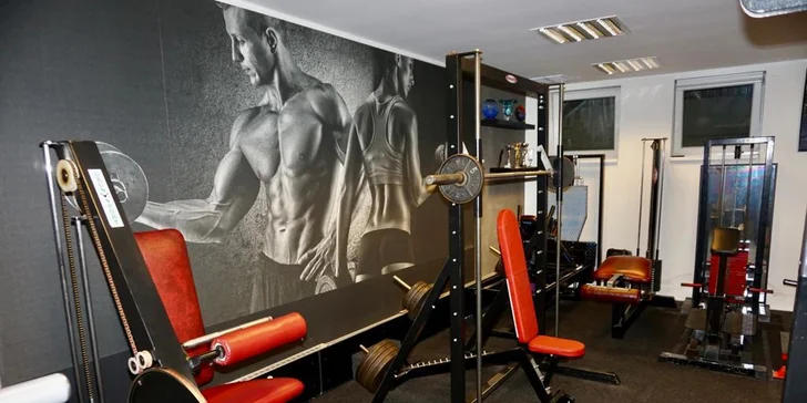 Dostaňte se do formy pod dohledem profi trenéra: 1–3 lekce či samostatný vstup do fitness