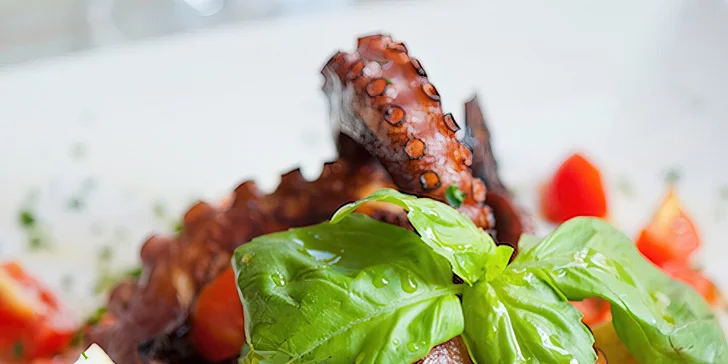 Pětichodové degustační menu pro dva: chobotnice, sušená kachní prsa i steak z pravé svíčkové