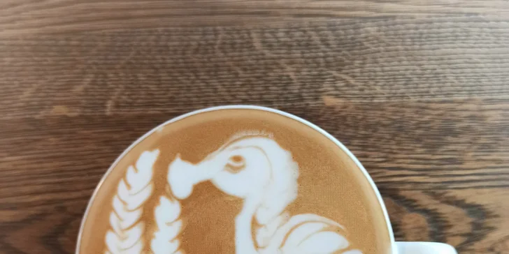 Kurz techniky Latte art pro milovníky kávy a začínající baristy