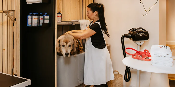 Self-wash lázně, známka s gravírováním a pamlsky pro malá, střední i velká plemena psů