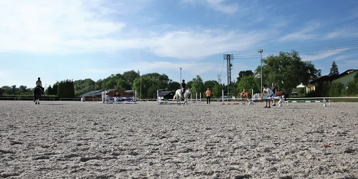 Na den rajťákem: vyzkoušejte si jízdu na koních i péči o tato zvířata, pro děti i dospělé