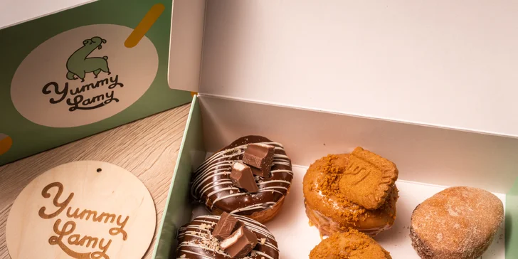 6 nadýchaných mini koblížků a mini donutů: krabička s sebou nebo posezení s lamou