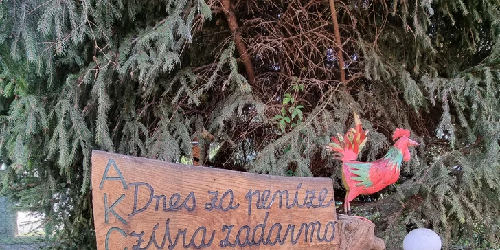 Pražma královská nebo mořský vlk na grilu s opečenou bagetkou a salátem