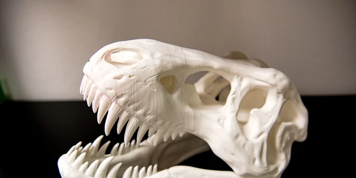 Základy 3D tisku pro začátečníky: individuální 2hodinový kurz