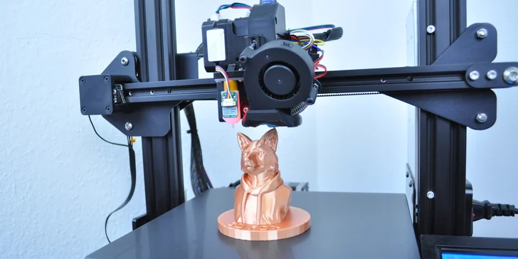 Základy 3D tisku pro začátečníky: individuální 2hodinový kurz