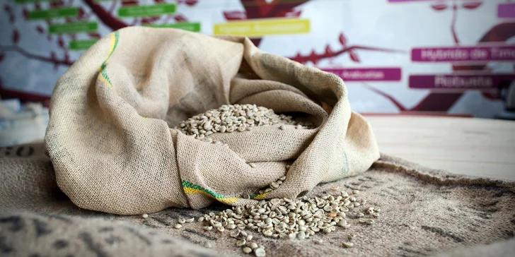 Exkurze v pražírně s neomezenou konzumací kávových nápojů, cupping i ochutnávkový balíček kávy