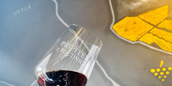 Ochutnávka 5 vín z vinařství Chateau Lobkowicz Roudnice pro 1 či 2 osoby