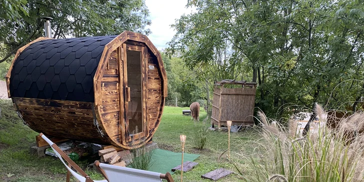 Pobyt mezi zvířátky na ranči: karavan, chatka či maringotka, mini zoo, koně a možnost snídaní