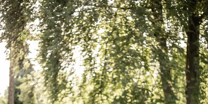 Focení rodin, párů i jednotlivců v exteriéru: 5, 10 nebo 20 upravených snímků