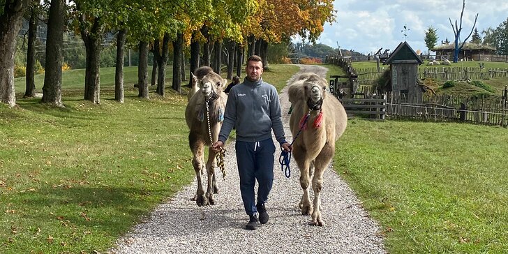 Cameltreking: procházka s velbloudem pro 2 osoby, okruh na 1,5 či 3,5 km