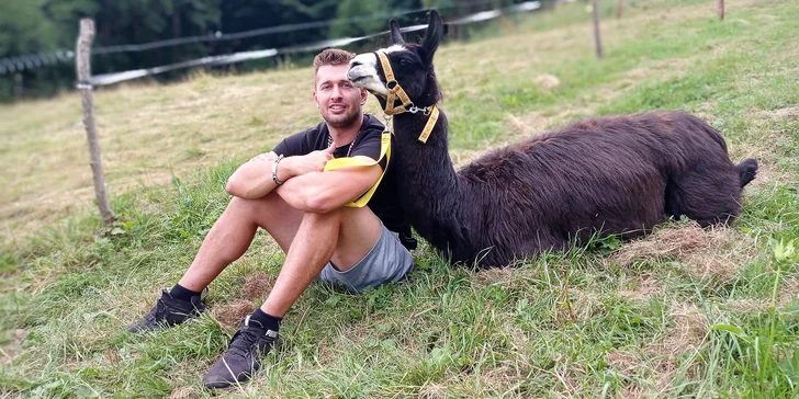 Lamatreking v Krkonoších pro 2 osoby: 40–100min. okruh i krmení po návratu