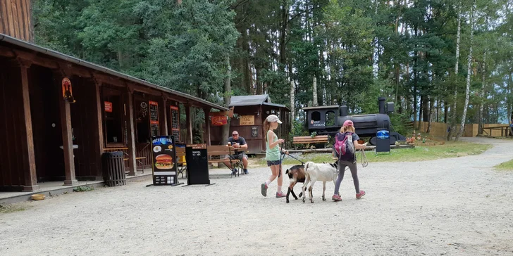 Kontakt se zvířátky pro děti i dospělé: procházka s kozičkou nebo poníkem