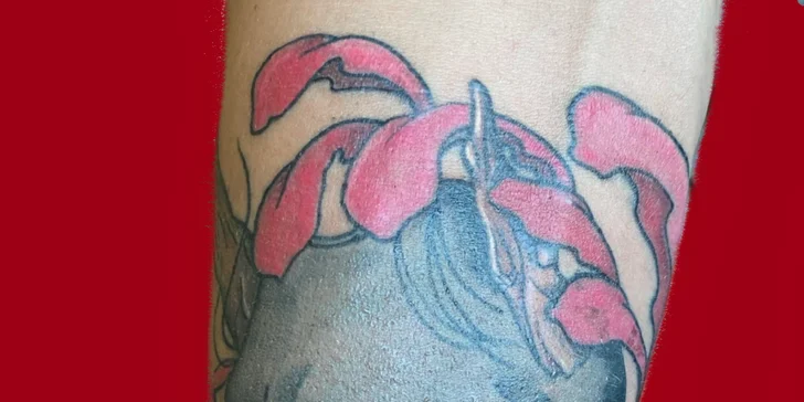 Nové tetování v salonu Leo_tattoo_piercing: velikost 5 × 5 až 20 × 20 cm