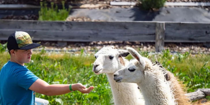 Celodenní vstup do Farmaparku včetně všech atrakcí a kyblík krmení nebo plyšák