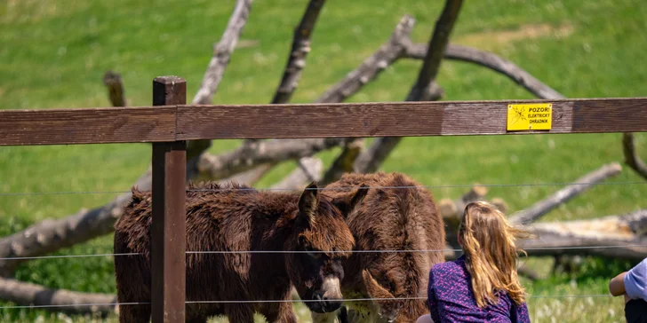 Celodenní vstup do Farmaparku včetně všech atrakcí a kyblík krmení nebo plyšák