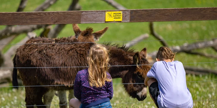 Celodenní vstup do Farmaparku včetně všech atrakcí a kyblík krmení nebo plyšák