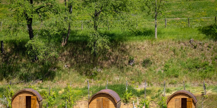 Celodenní vstup do Farmaparku včetně všech atrakcí a kyblík krmení nebo plyšák