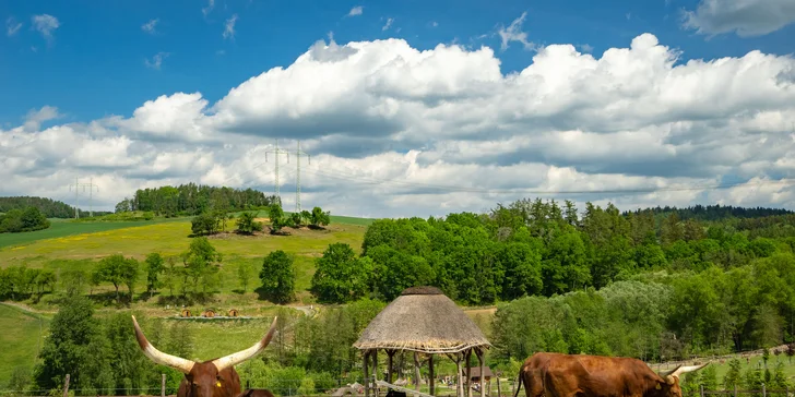 Celodenní vstup do Farmaparku včetně všech atrakcí a kyblík krmení nebo plyšák