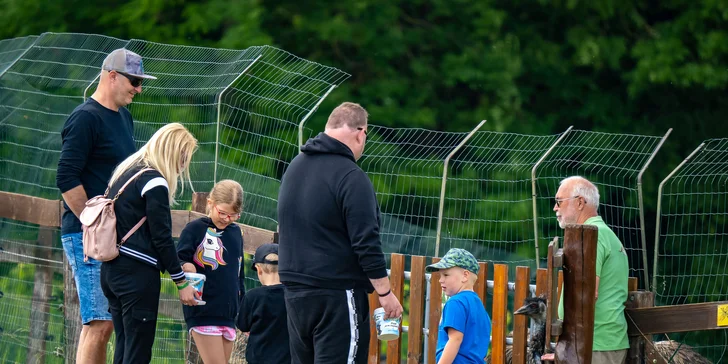 Celodenní vstup do Farmaparku včetně všech atrakcí a kyblík krmení nebo plyšák