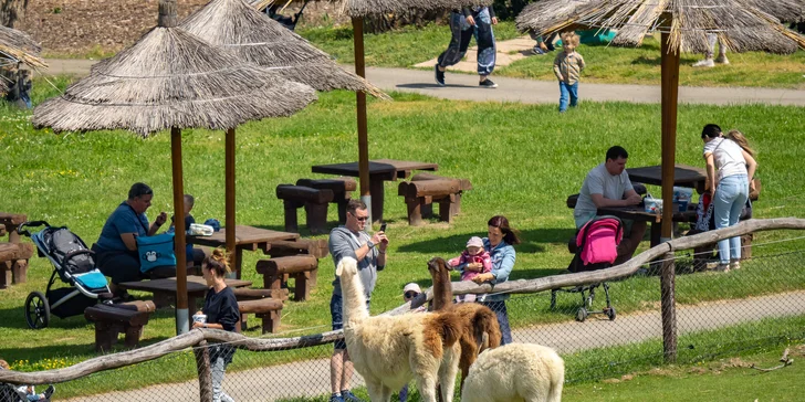 Celodenní vstup do Farmaparku včetně všech atrakcí a kyblík krmení nebo plyšák