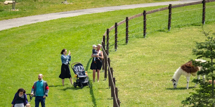 Celodenní vstup do Farmaparku včetně všech atrakcí a kyblík krmení nebo plyšák