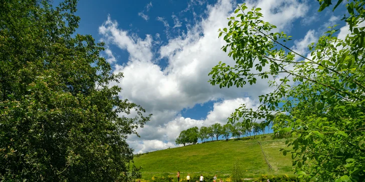 Celodenní vstup do Farmaparku včetně všech atrakcí a kyblík krmení nebo plyšák