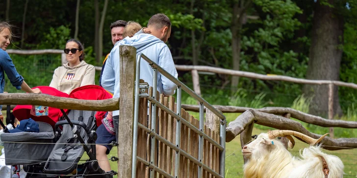 Celodenní vstup do Farmaparku včetně všech atrakcí a kyblík krmení nebo plyšák