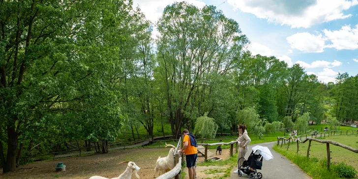 Celodenní vstup do Farmaparku včetně všech atrakcí a kyblík krmení nebo plyšák