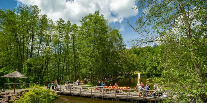 Celodenní vstup do Farmaparku včetně všech atrakcí a kyblík krmení nebo plyšák