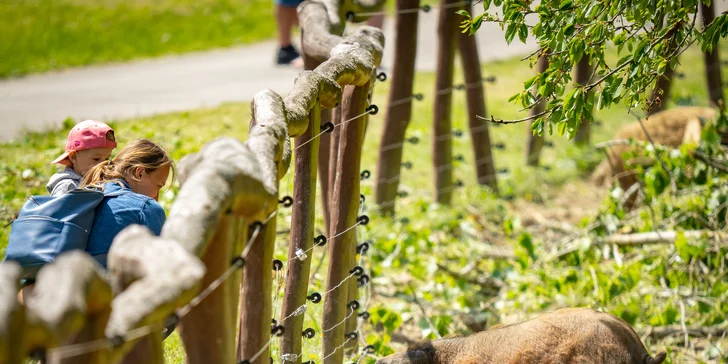 Celodenní vstup do Farmaparku včetně všech atrakcí a kyblík krmení nebo plyšák