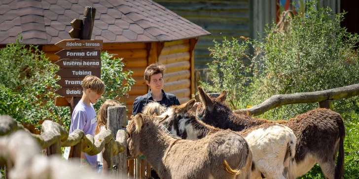 Celodenní vstup do Farmaparku včetně všech atrakcí a kyblík krmení nebo plyšák