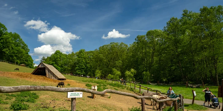 Celodenní vstup do Farmaparku včetně všech atrakcí a kyblík krmení nebo plyšák