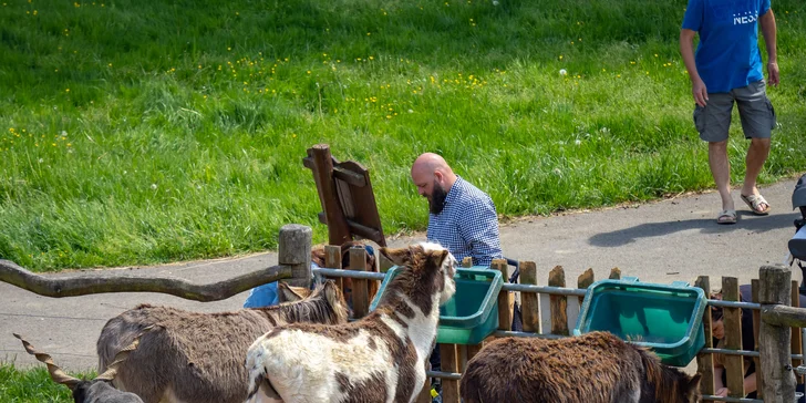 Celodenní vstup do Farmaparku včetně všech atrakcí a kyblík krmení nebo plyšák