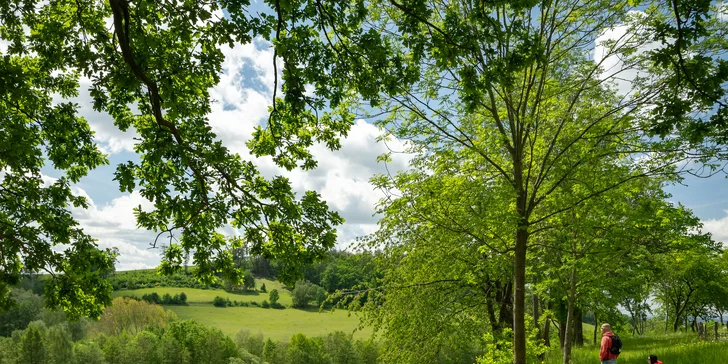 Celodenní vstup do Farmaparku včetně všech atrakcí a kyblík krmení nebo plyšák