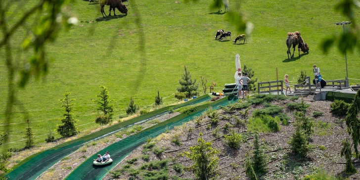 Celodenní vstup do Farmaparku včetně všech atrakcí a kyblík krmení nebo plyšák